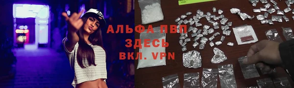 трава Балахна