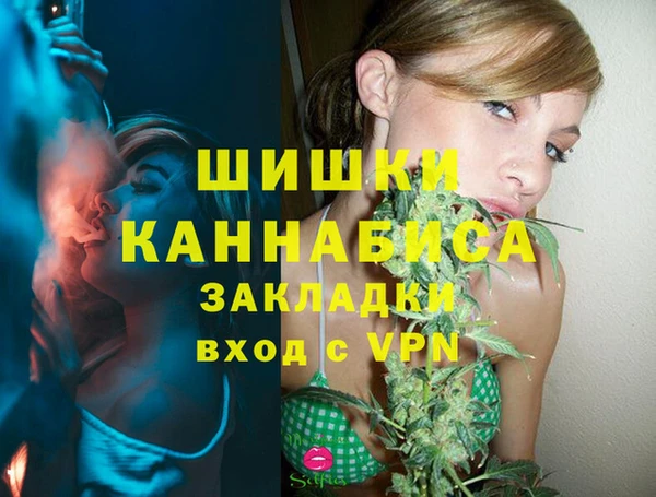 трава Балахна