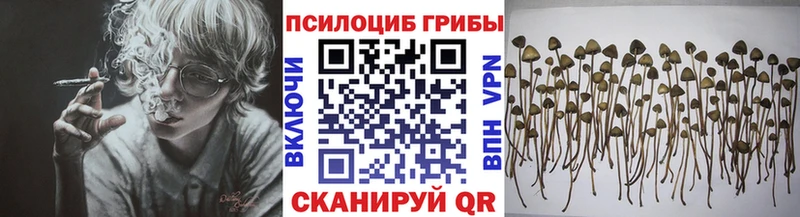 Псилоцибиновые грибы MAGIC MUSHROOMS  Короча 