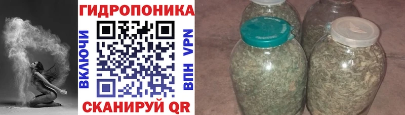 Бошки Шишки марихуана Короча